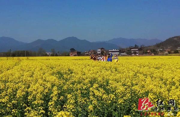 普利桥镇天气预报更新通知