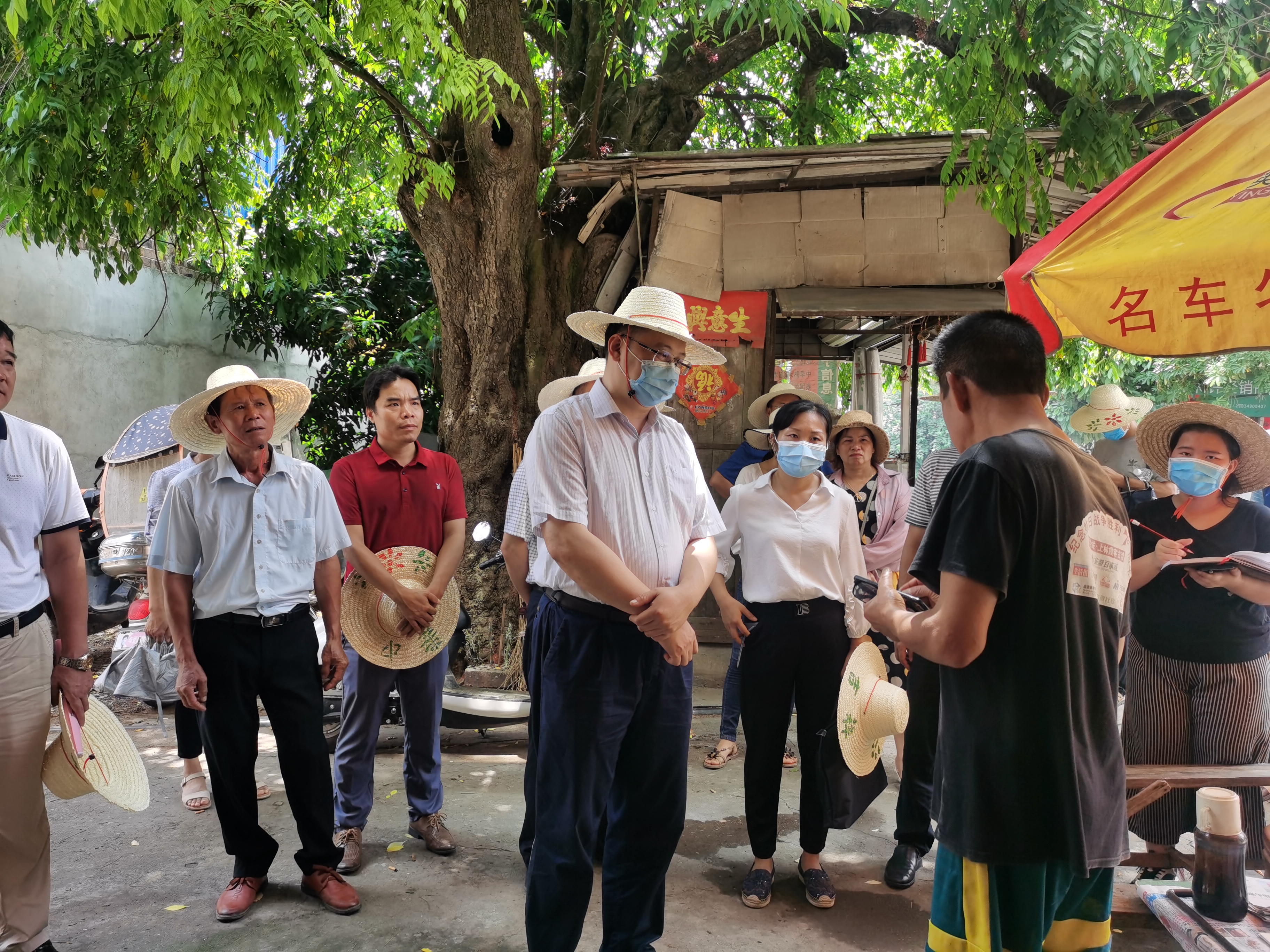 苏圩镇展现新风貌，迎接新时代，最新新闻报道