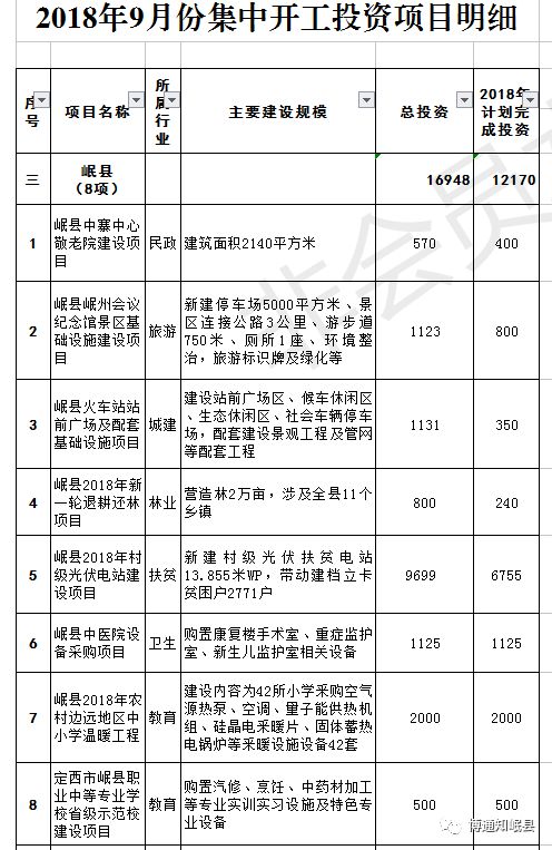 岷县计生委最新项目实施进展报告总览