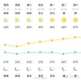 花园村最新天气预报全面解析