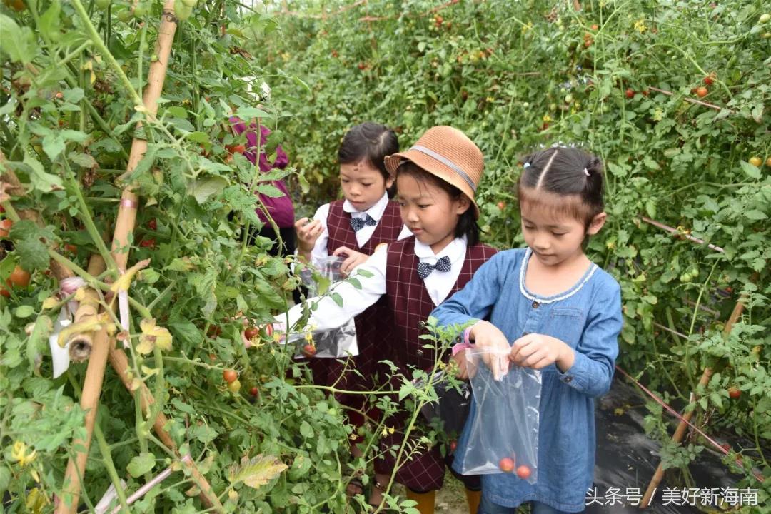 万宁市医疗保障局领导团队及重要职责概览