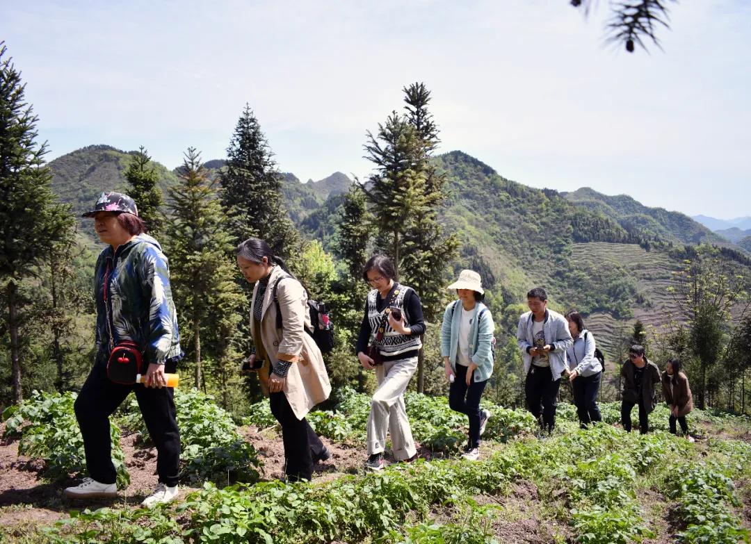 庙坝镇最新项目，引领地方发展的强大引擎