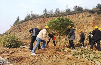 南昌县审计局最新动态报道