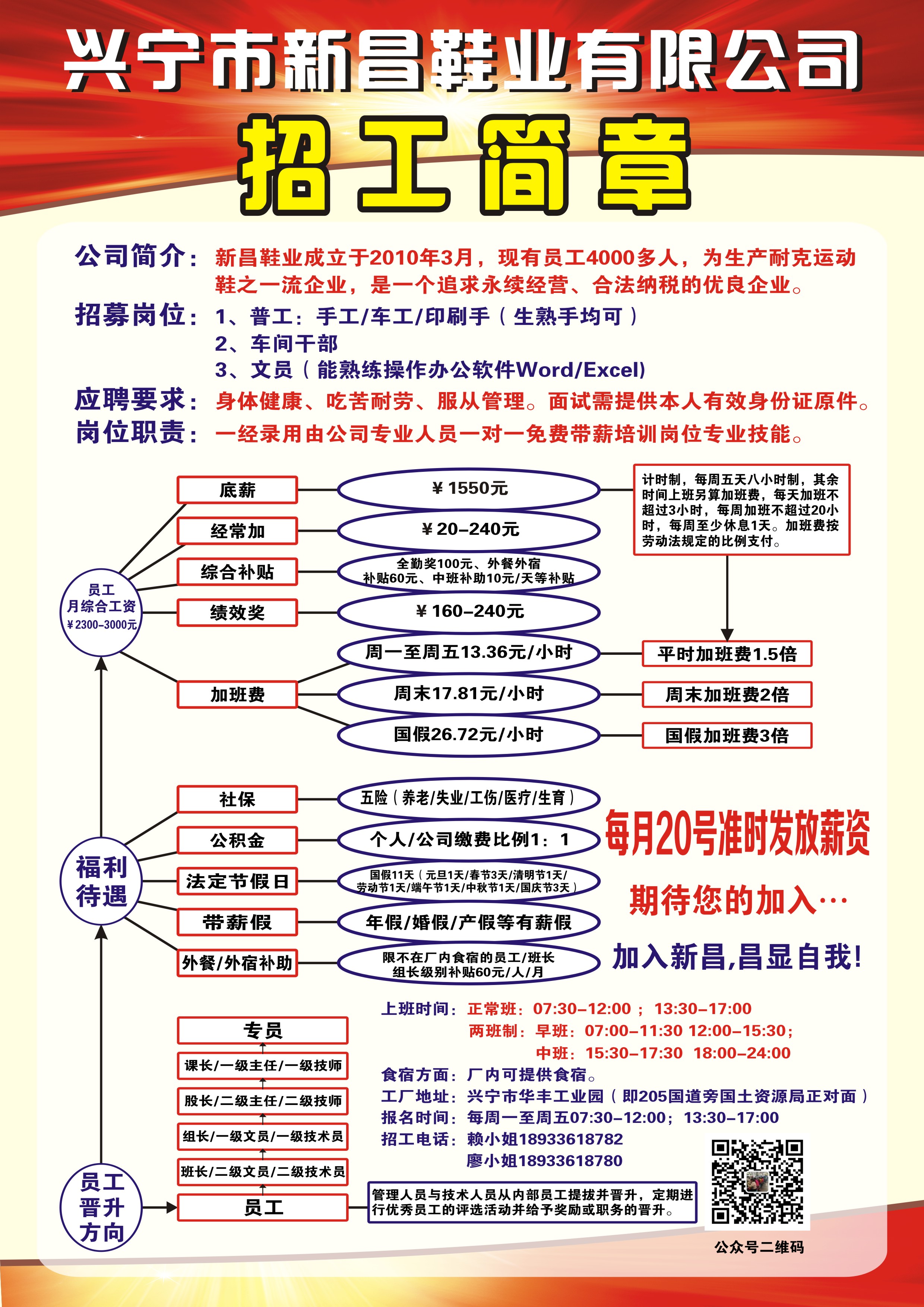 新造镇最新招聘信息概述及深度解析