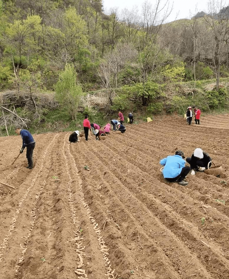 宜兴市农业农村局新项目推动农业现代化，乡村振兴再添新动力