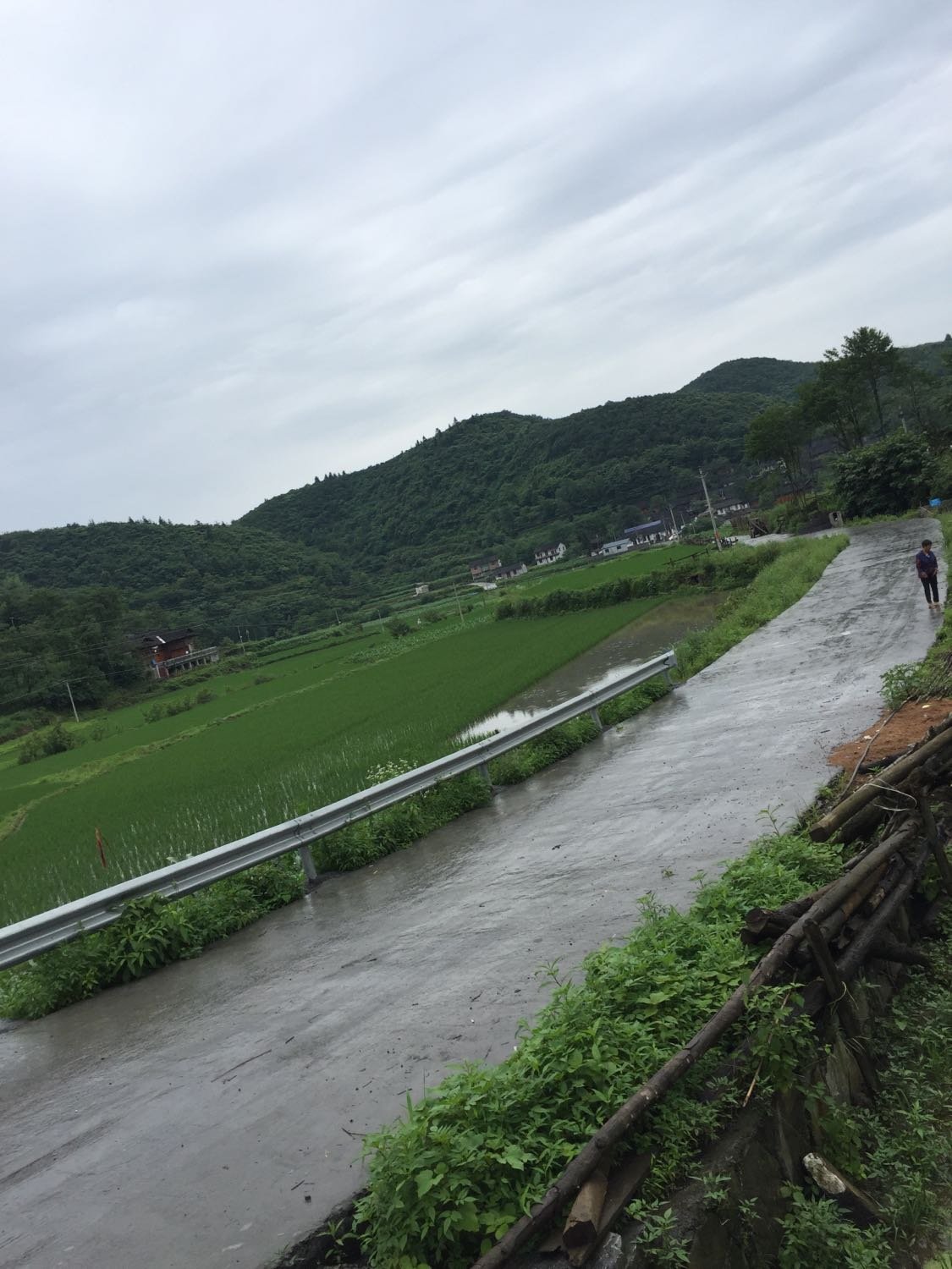 拉贵村最新天气预报