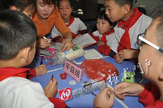 鹤城区小学最新新闻