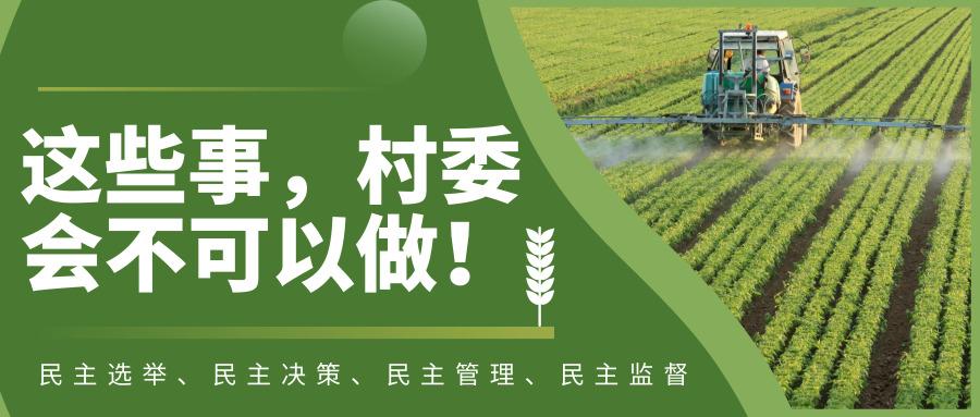 庞河村民委员会新项目启动，乡村振兴新篇章