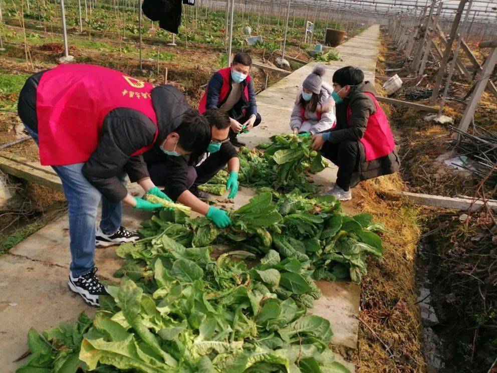 南浔区农业农村局最新项目，推动农业现代化，助力乡村振兴