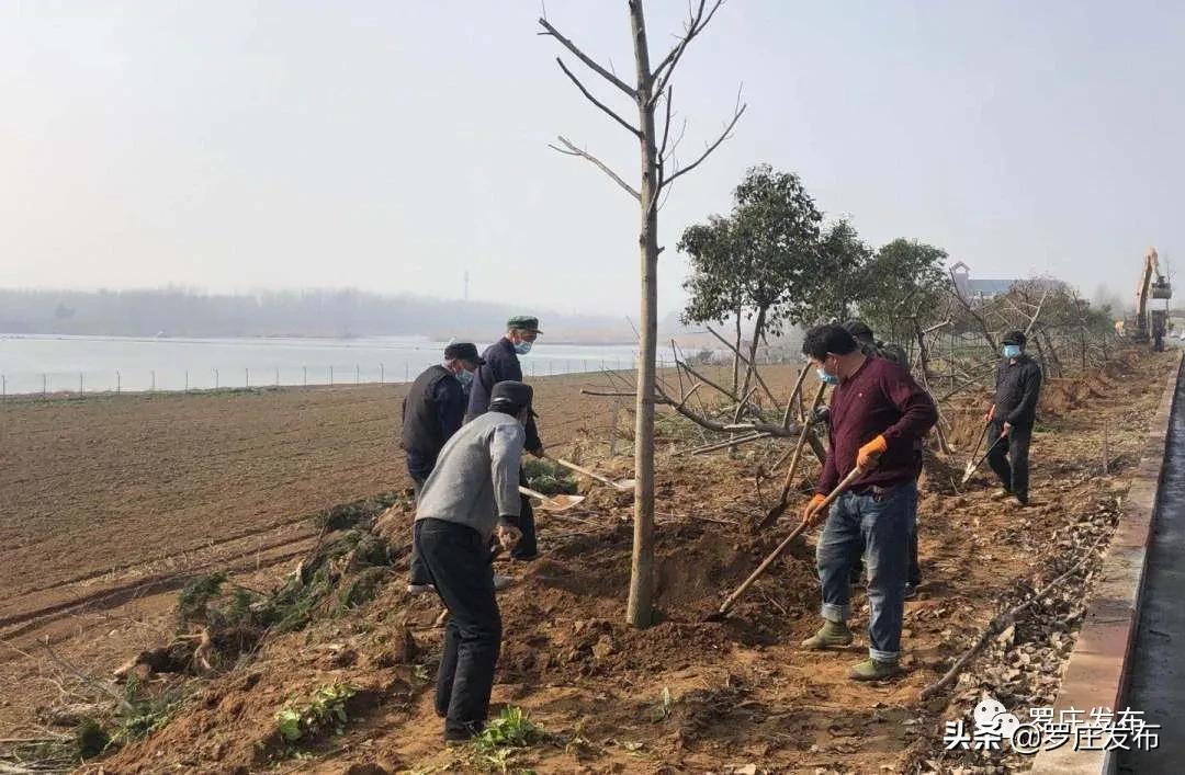 罗庄区卫生健康局领导团队全新亮相，未来工作展望与战略部署