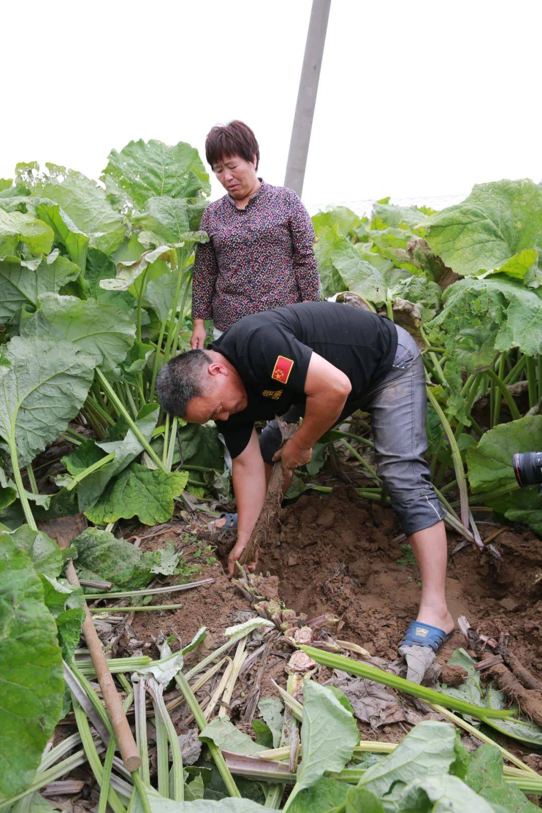 圣水河子镇优化交通网络，提升居民生活质量新进展