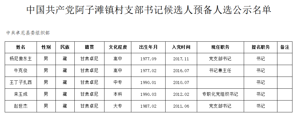 尼康村最新人事任命动态与未来展望展望