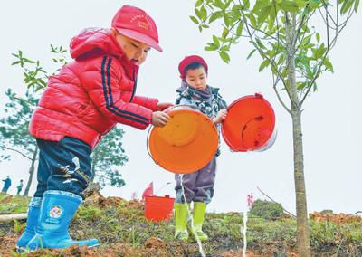 道县桥头林场最新发展规划揭晓