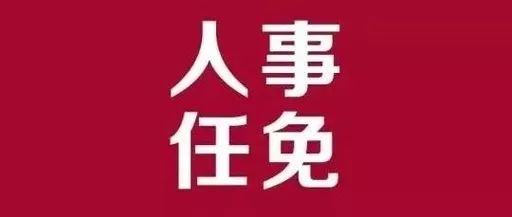 安多县审计局人事任命新动态及其影响分析