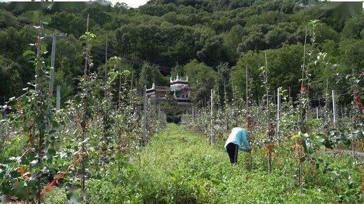 江达村全新发展规划揭晓