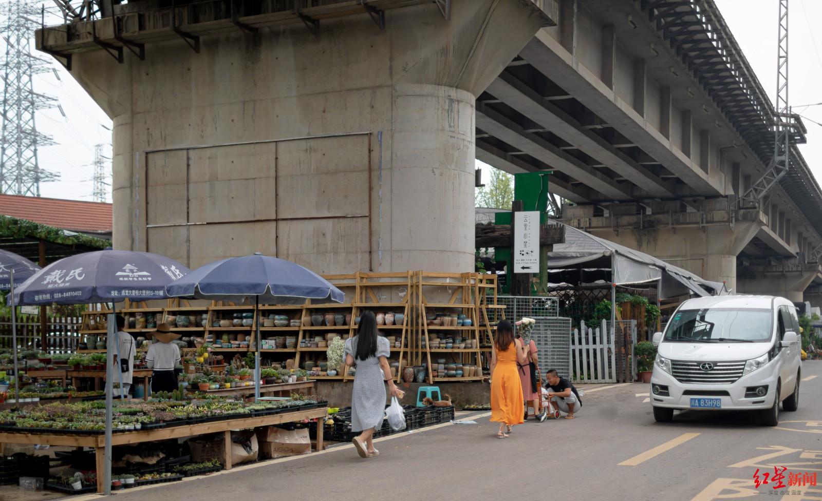 三圣镇最新新闻动态报道