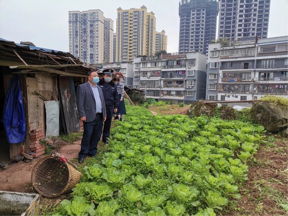 锦绣社区新闻速递