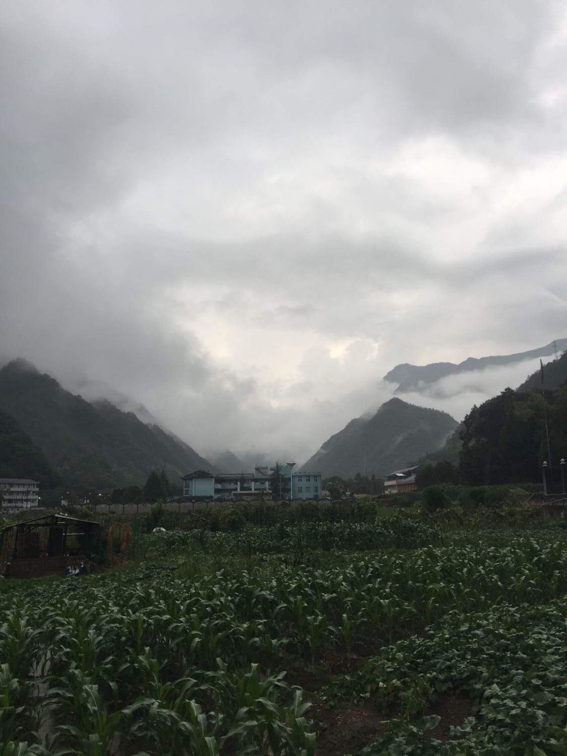 碁山镇天气预报更新通知