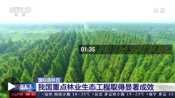 白山林场天气预报更新通知