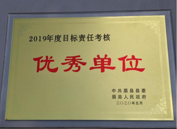 眉县医疗保障局，最新动态及成就概览