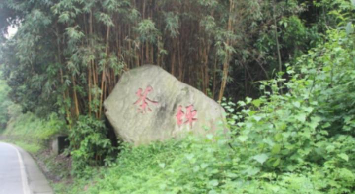 茶坪社区村发展规划展望