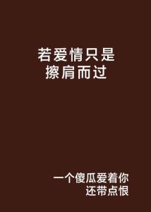 小说若爱只是擦肩而过最新动态与深度解析报道