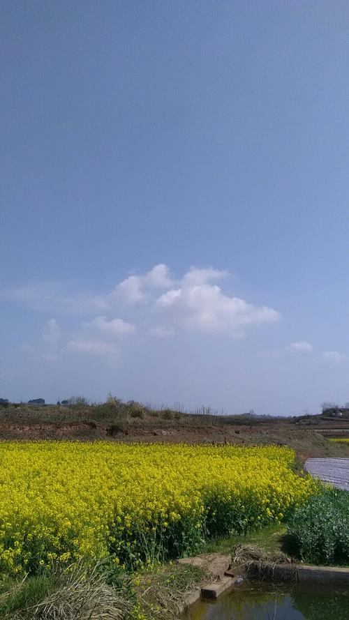 太平圩乡天气预报更新通知