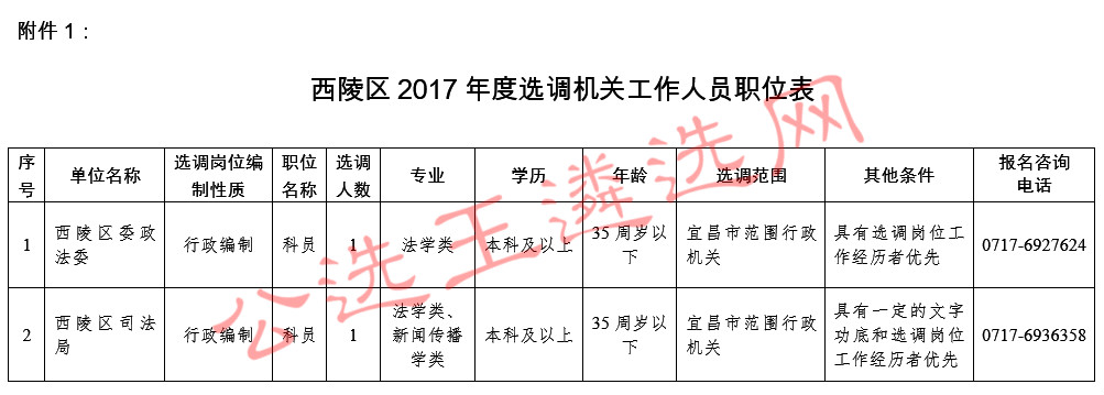 川汇区民政局最新招聘信息详解