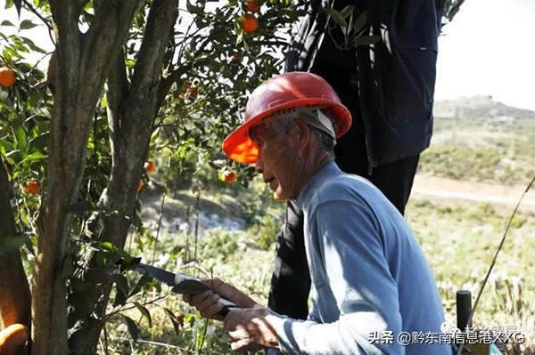 锦屏县住房和城乡建设局最新项目概览与动态