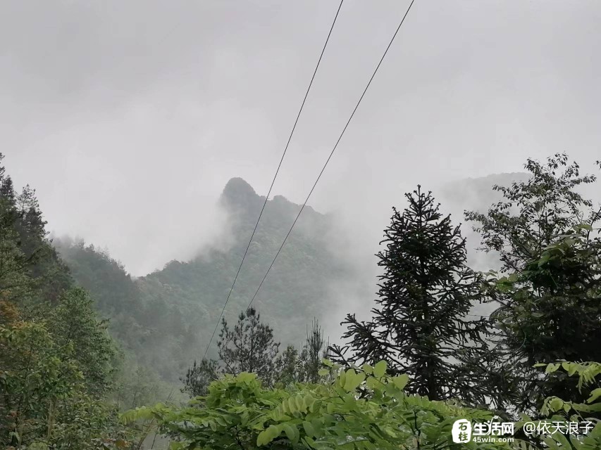 金铃乡天气预报更新通知