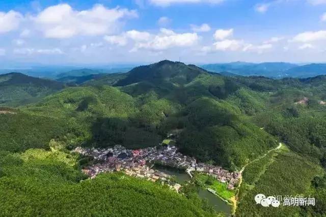 蓝山浆洞林场人事大调整，引领未来，铸就辉煌新篇章