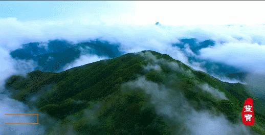 燕子山林场天气预报更新通知