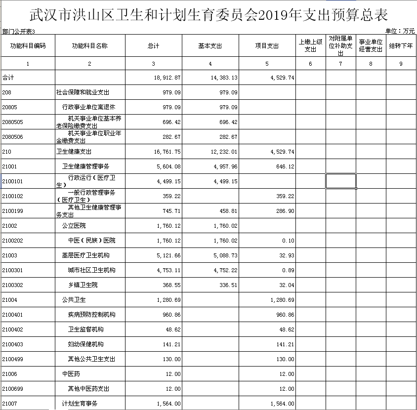 洪山区计生委最新发展规划概览