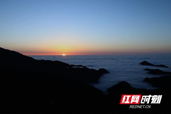 炎陵县大院农场新项目，农业现代化与乡村旅游融合发展的典范典范之路